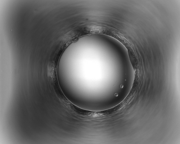 X0000094350379200711021437