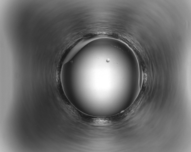 X0000094350380200711021437