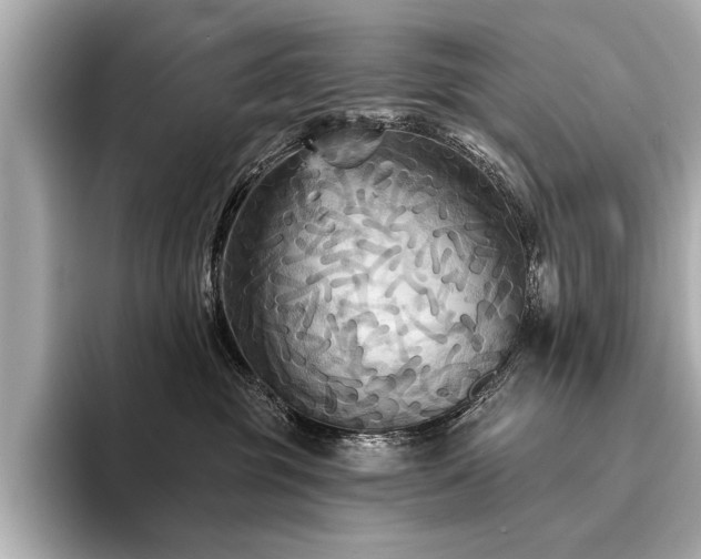 X0000094350381200711021437