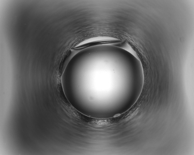 X0000094350384200711021437