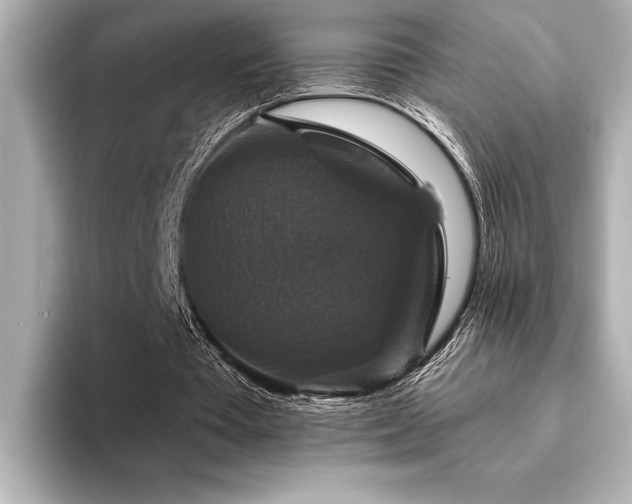 X0000094350385200711021436