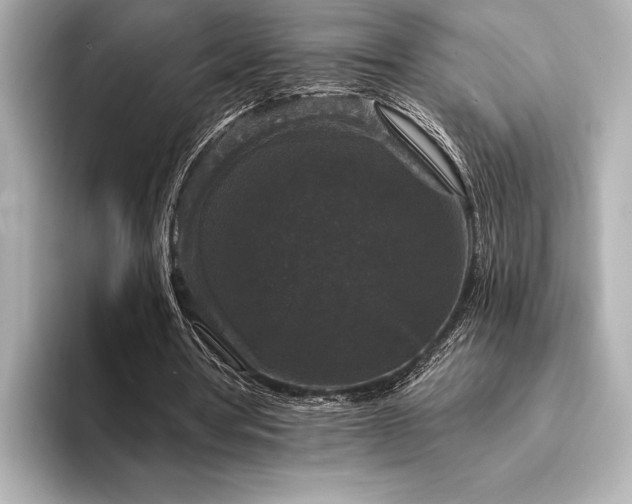 X0000094350386200711021436