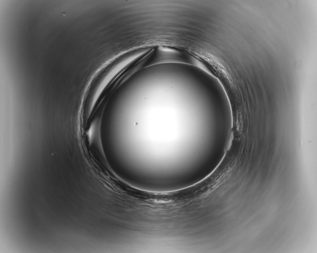 X0000094350388200711021436