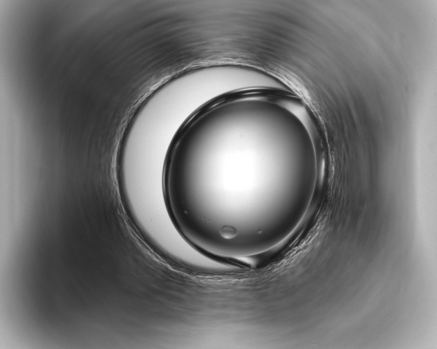 X0000094350389200711021436