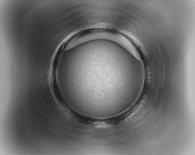 X0000094350392200711021436