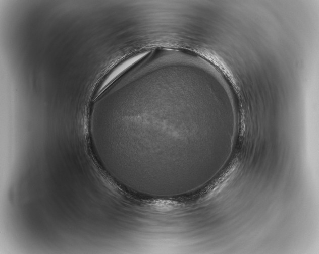 X0000094350393200711021436