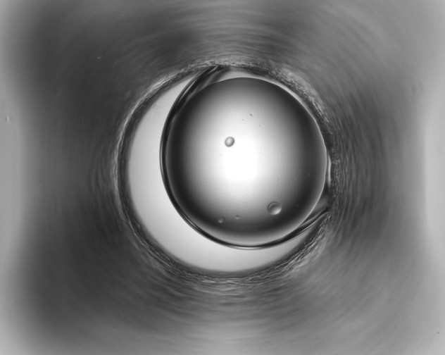 X0000094350395200711021436