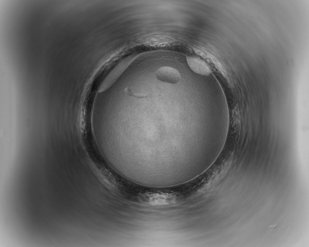 X0000094350400200711021436