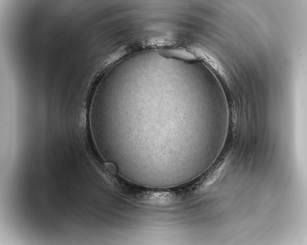 X0000094350401200711021436