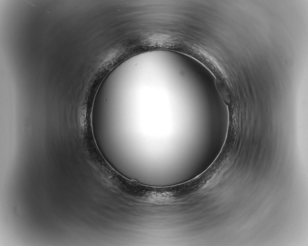 X0000094350403200711021436