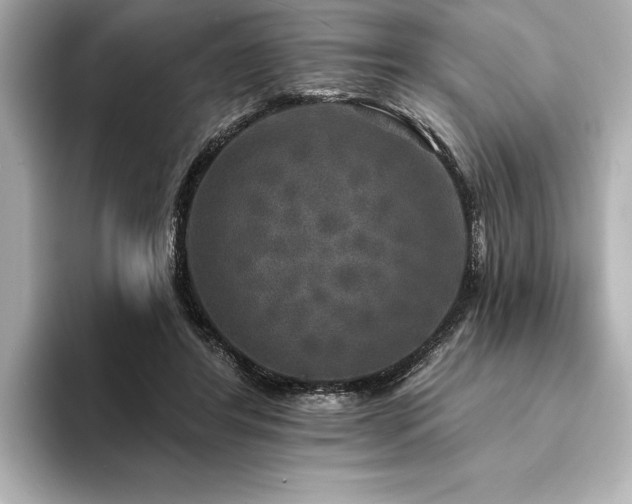 X0000094350404200711021436