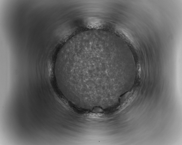 X0000094350408200711021436