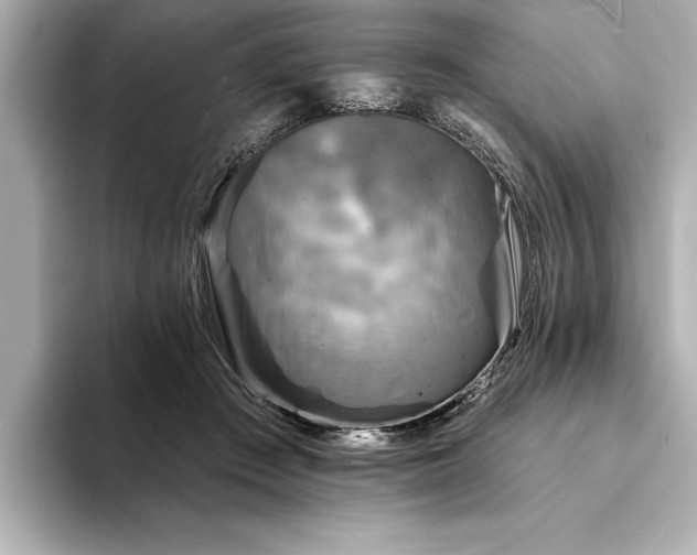 X0000094350409200711021436