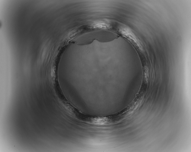 X0000094350410200711021436