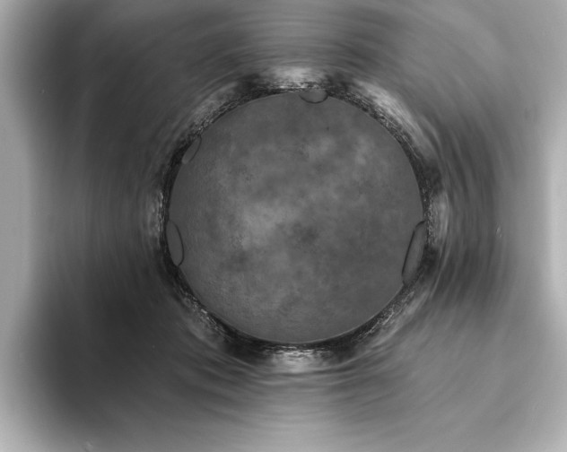 X0000094350413200711021436