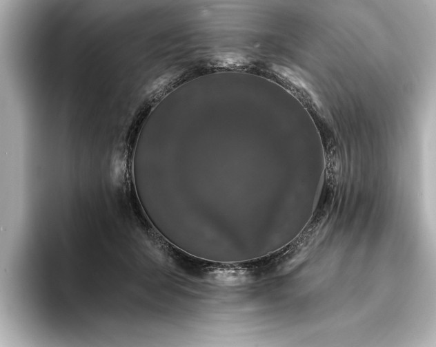 X0000094350415200711021436