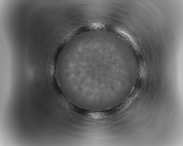 X0000094350417200711021436