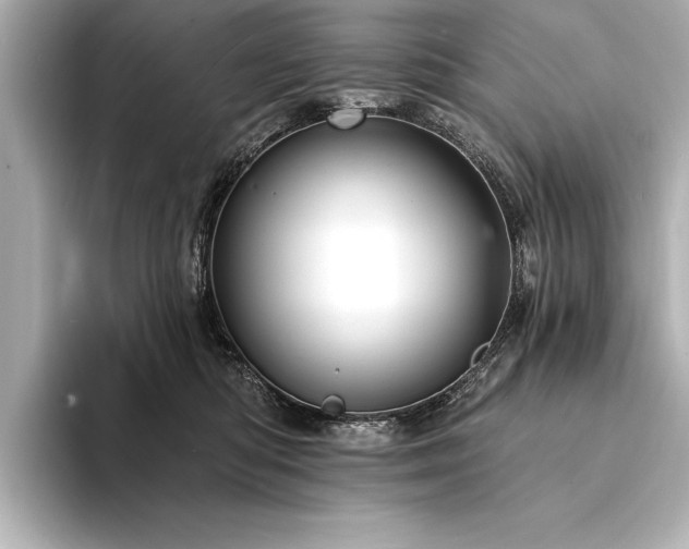 X0000094350422200711021436