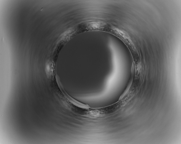 X0000094350423200711021436