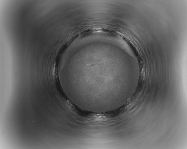 X0000094350424200711021436