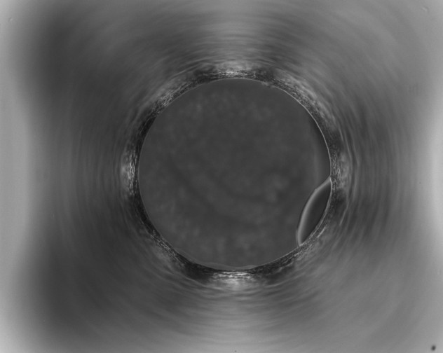 X0000094350427200711021436