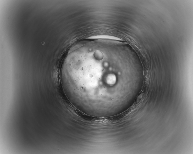 X0000094350428200711021436