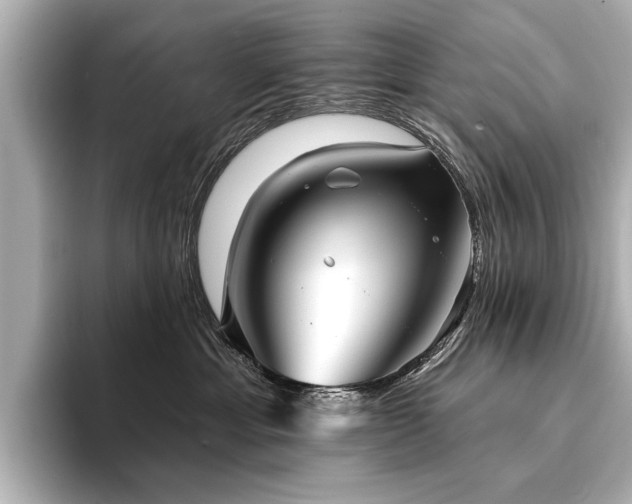 X0000094350429200711021436