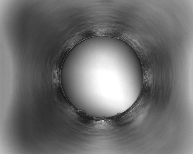 X0000094350430200711021436