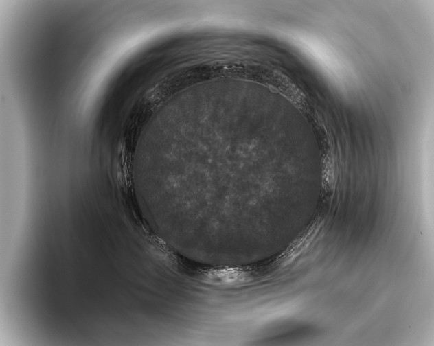 X0000094350431200711021436