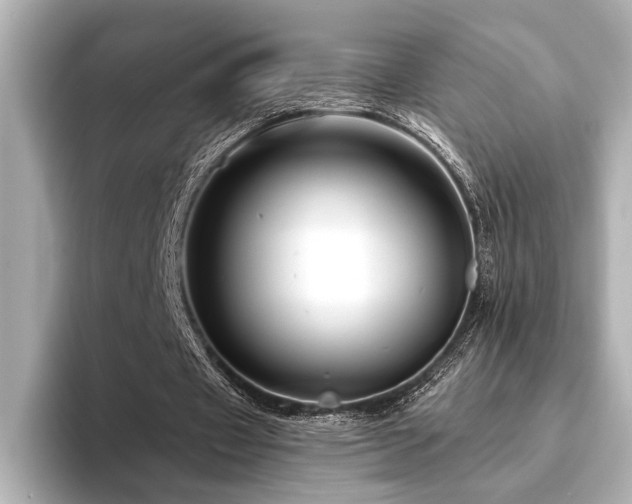 X0000094350433200711021435