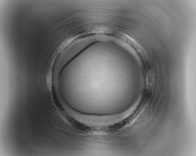 X0000094350436200711021435