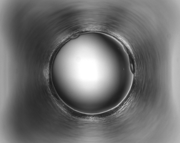 X0000094350437200711021435