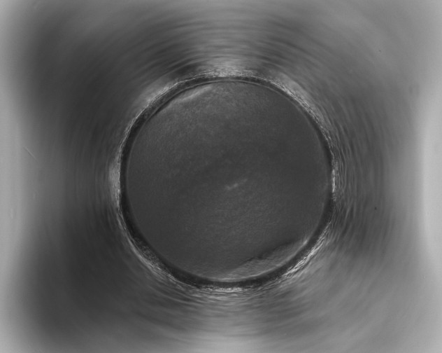 X0000094350438200711021435