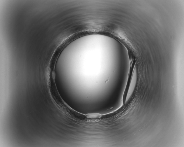 X0000094350440200711021435