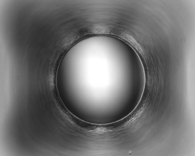 X0000094350441200711021435