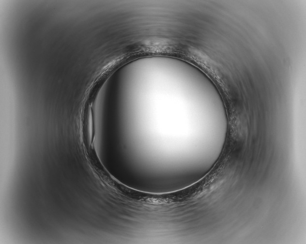 X0000094350442200711021435