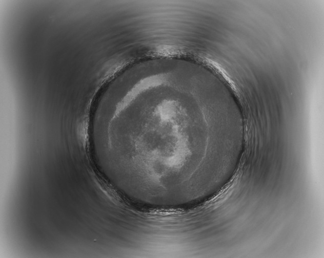 X0000094350443200711021435