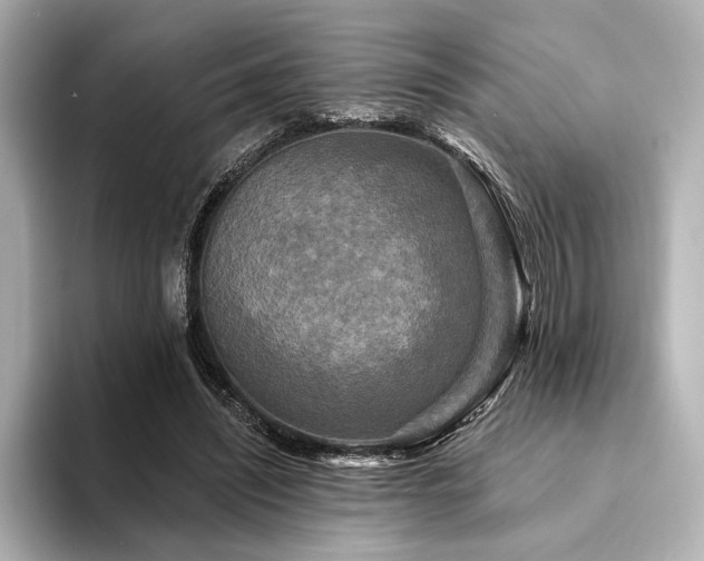 X0000094350444200711021435