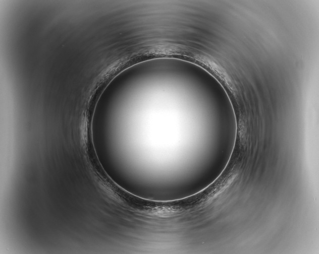 X0000094350445200711021435