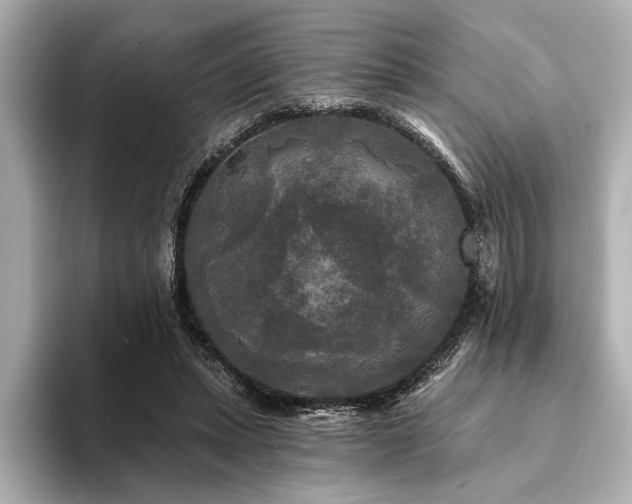 X0000094350447200711021436