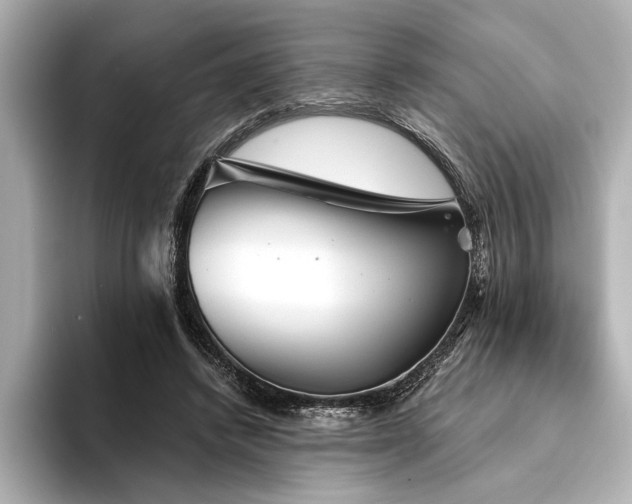 X0000094350448200711021436