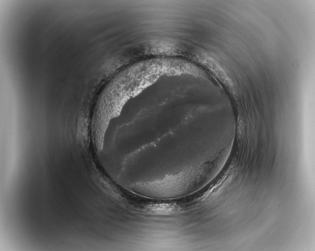 X0000094350449200711021436