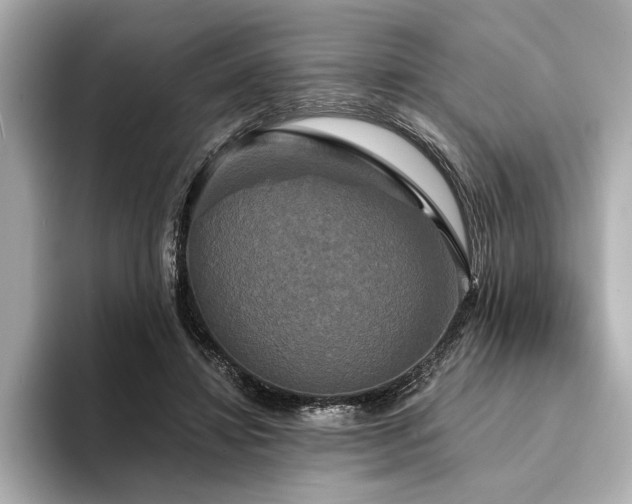 X0000094350452200711021436