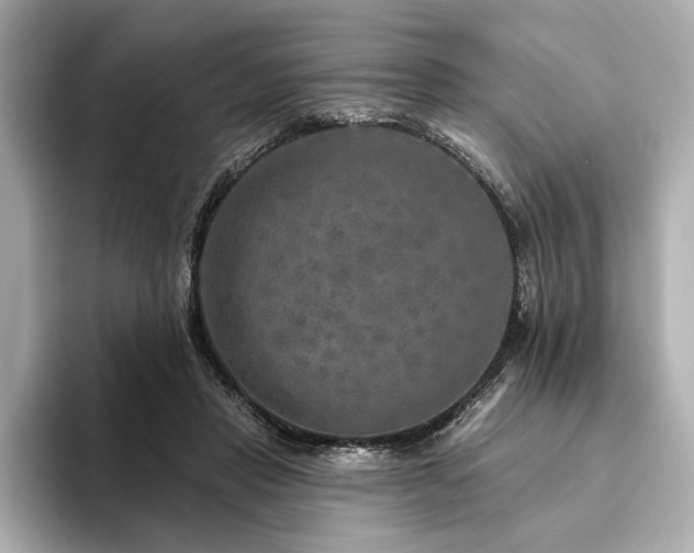 X0000094350453200711021436