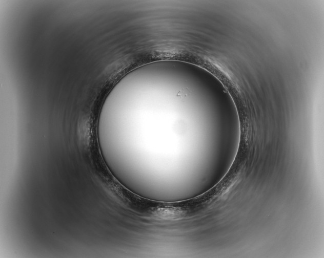 X0000094350455200711021436