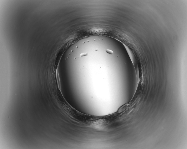 X0000094350456200711021436