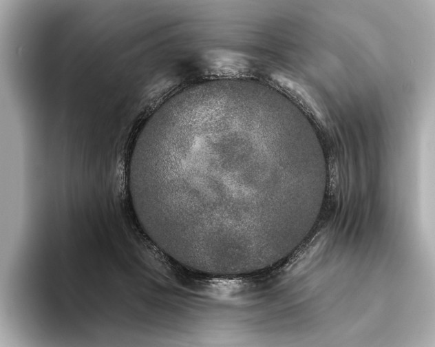 X0000094350457200711021436