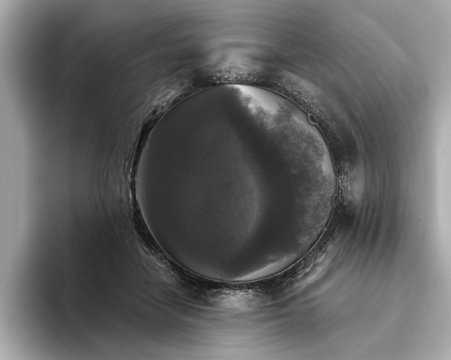 X0000094350458200711021436