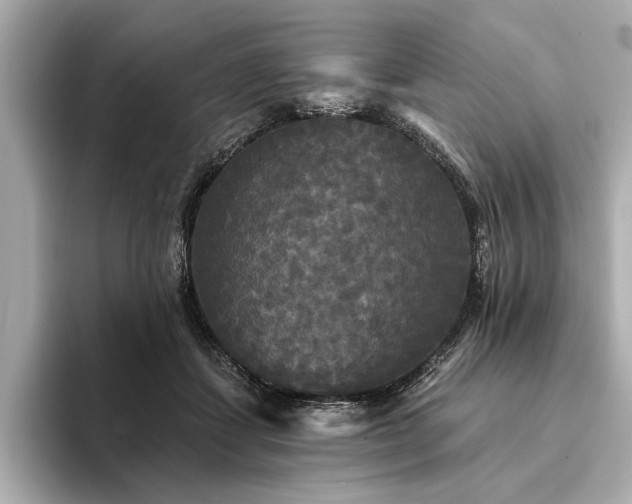 X0000094350459200711021436