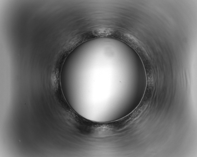 X0000094350460200711021436